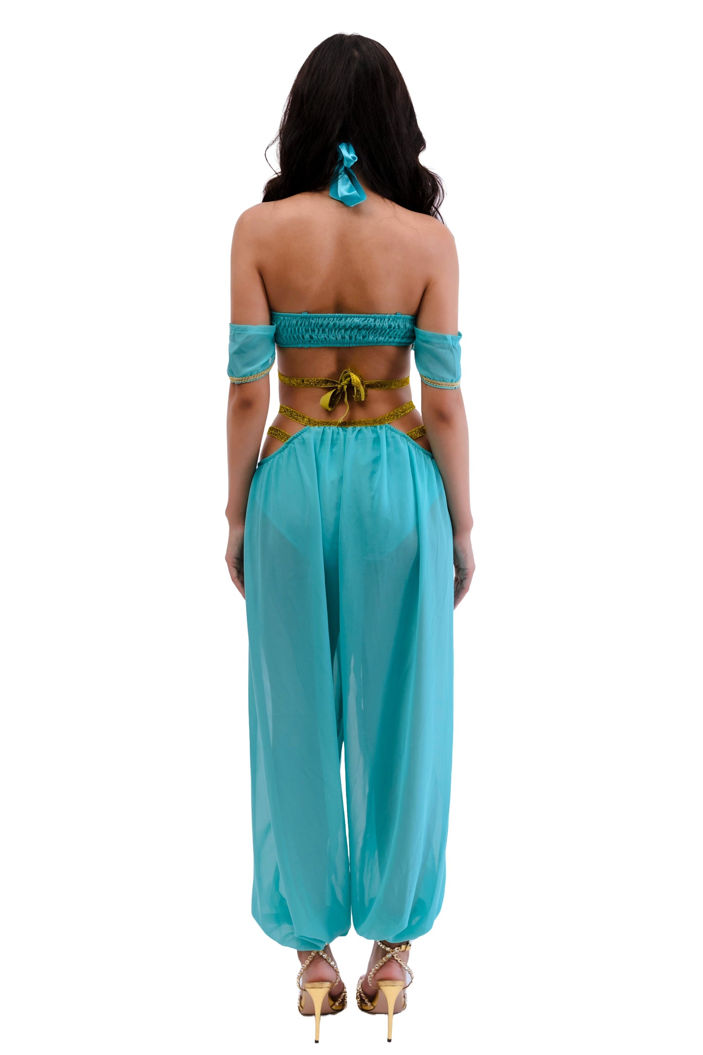 Princess of the Dunes Arabian Womens Halloween Costume