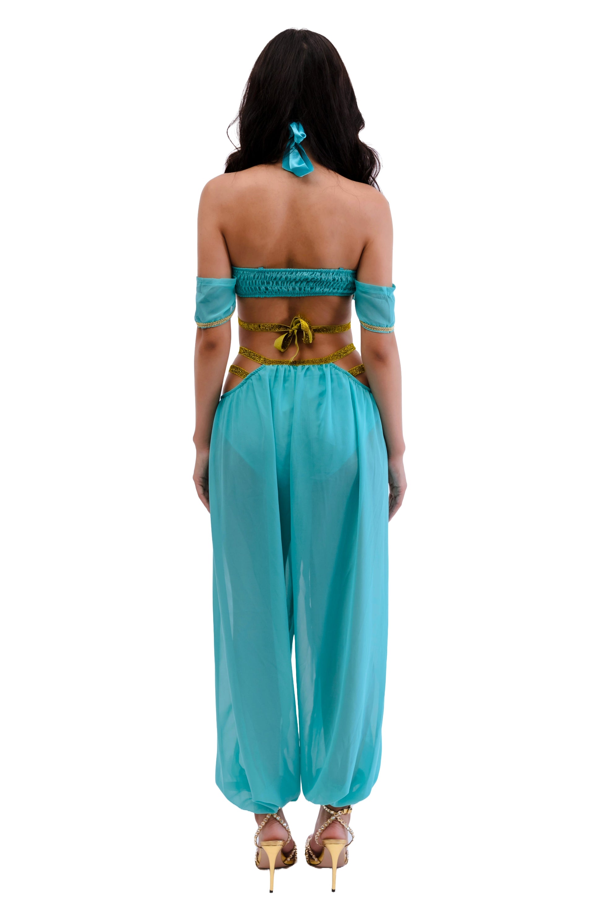 Princess of the Dunes Arabian Womens Halloween Costume