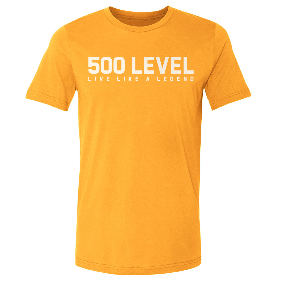 500 LEVEL Wordmark WHT