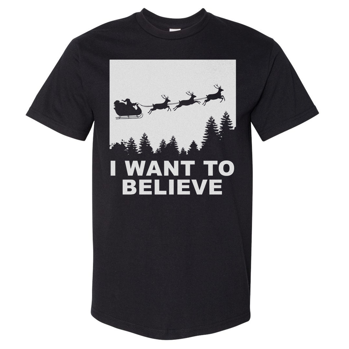 Christmas I Want To Believe WHT