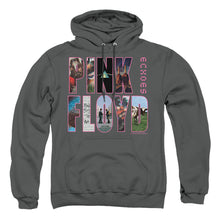 Load image into Gallery viewer, Pink Floyd Cover Mens Hoodie Charcoal
