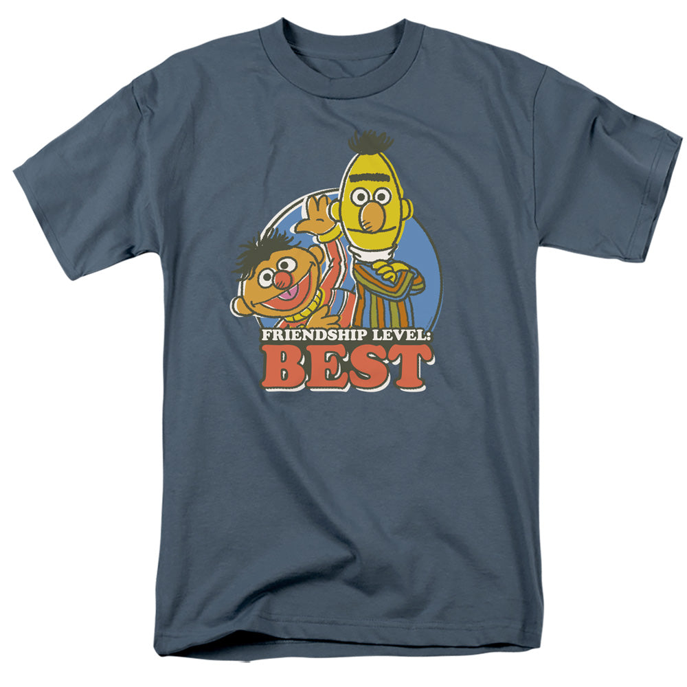 Sesame Street Bert & Ernie Friendship Level: Best Mens T Shirt Slate