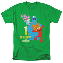 Load image into Gallery viewer, Sesame Street 1St Birthday Mens T Shirt Kelly Green
