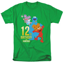 Load image into Gallery viewer, Sesame Street 12Th Birthday Mens T Shirt Kelly Green
