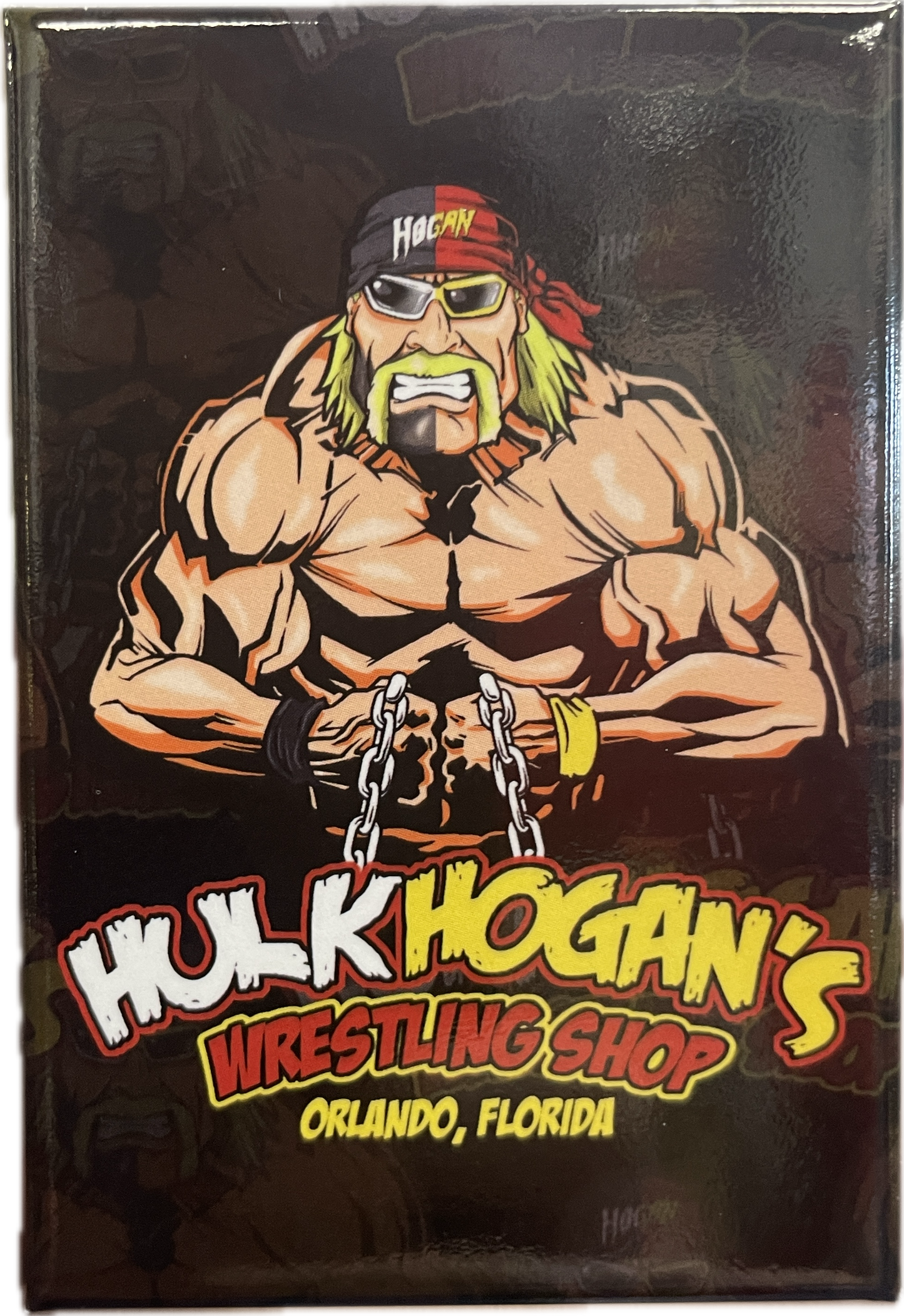 Hulk Hogan Splitface Flat Magnet
