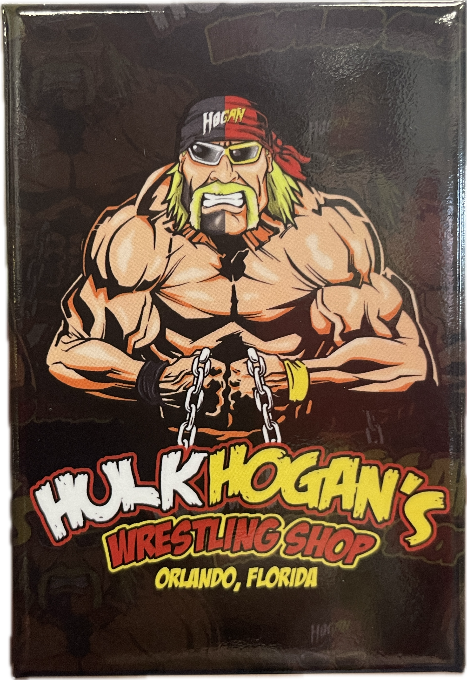 Hulk Hogan Splitface Flat Magnet