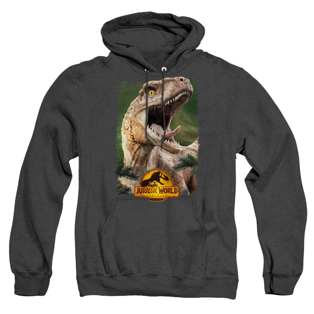 Jurassic World Raptor Beauty Shot Heather Mens Hoodie Black