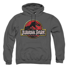Load image into Gallery viewer, Jurassic Park Stone Logo Mens Hoodie Charcoal
