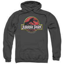 Load image into Gallery viewer, Jurassic Park Stone Logo Mens Hoodie Charcoal
