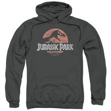 Load image into Gallery viewer, Jurassic Park Faded Logo Mens Hoodie Charcoal
