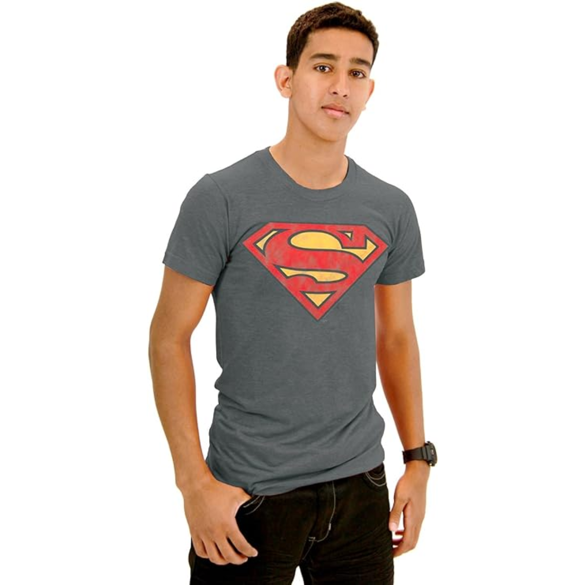 Junk Food Original Logo Adult T Shirt