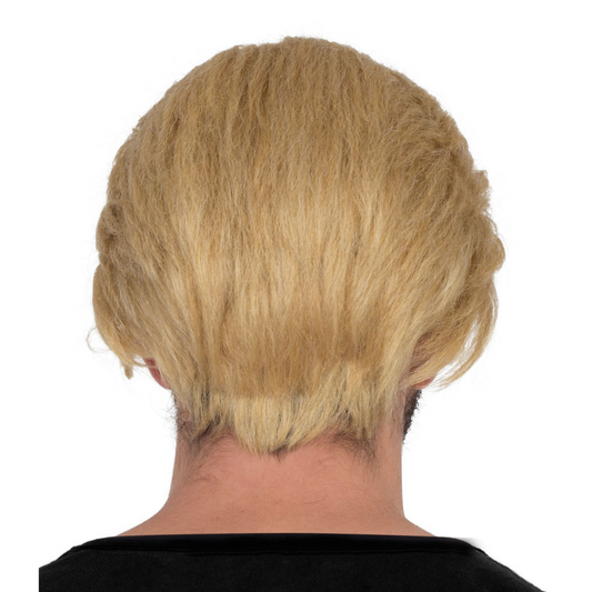 Blonde Wig and Goatee Set Premium Deluxe Accessory for Injustice Cosplay