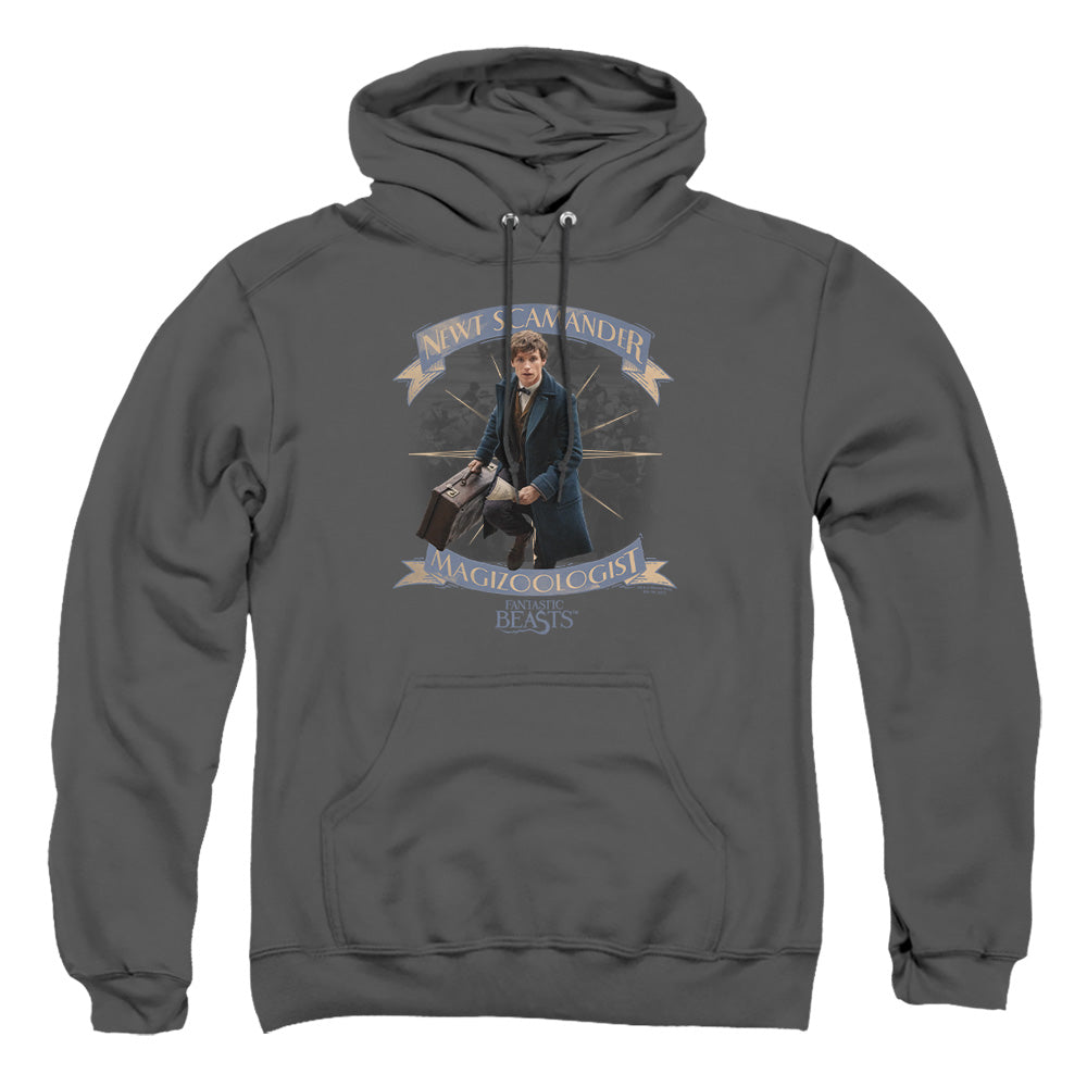 Fantastic Beasts Newt Scamander Mens Hoodie Charcoal