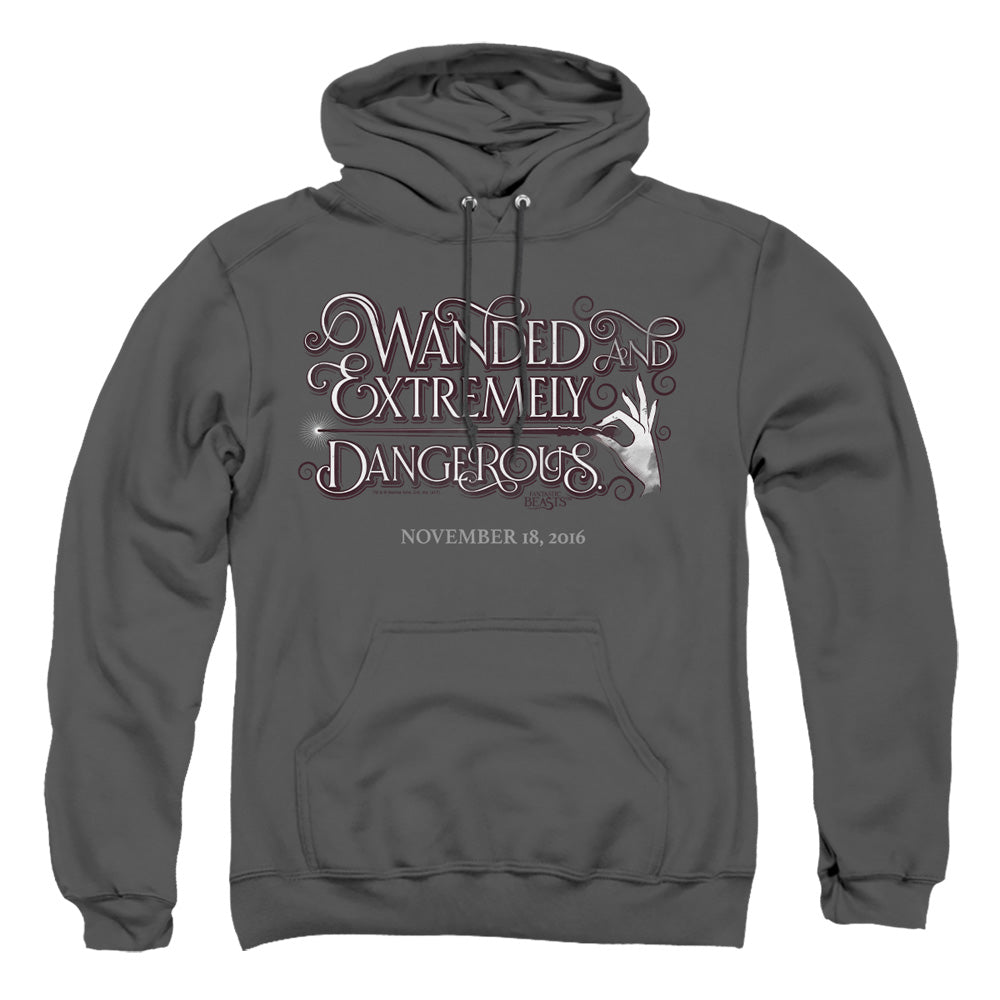 Fantastic Beasts Wanded Mens Hoodie Charcoal