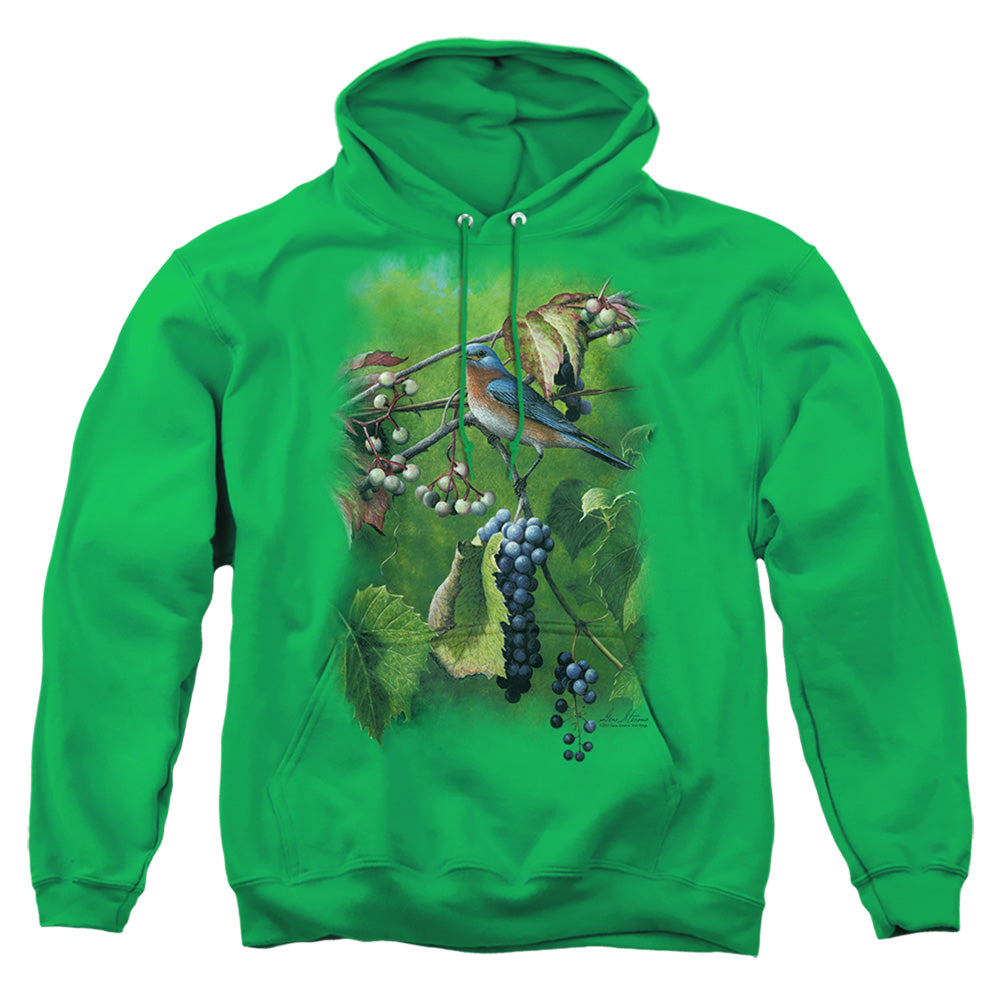Wildlife Summertime Estrn Bluebird Mens Hoodie Kelly Green