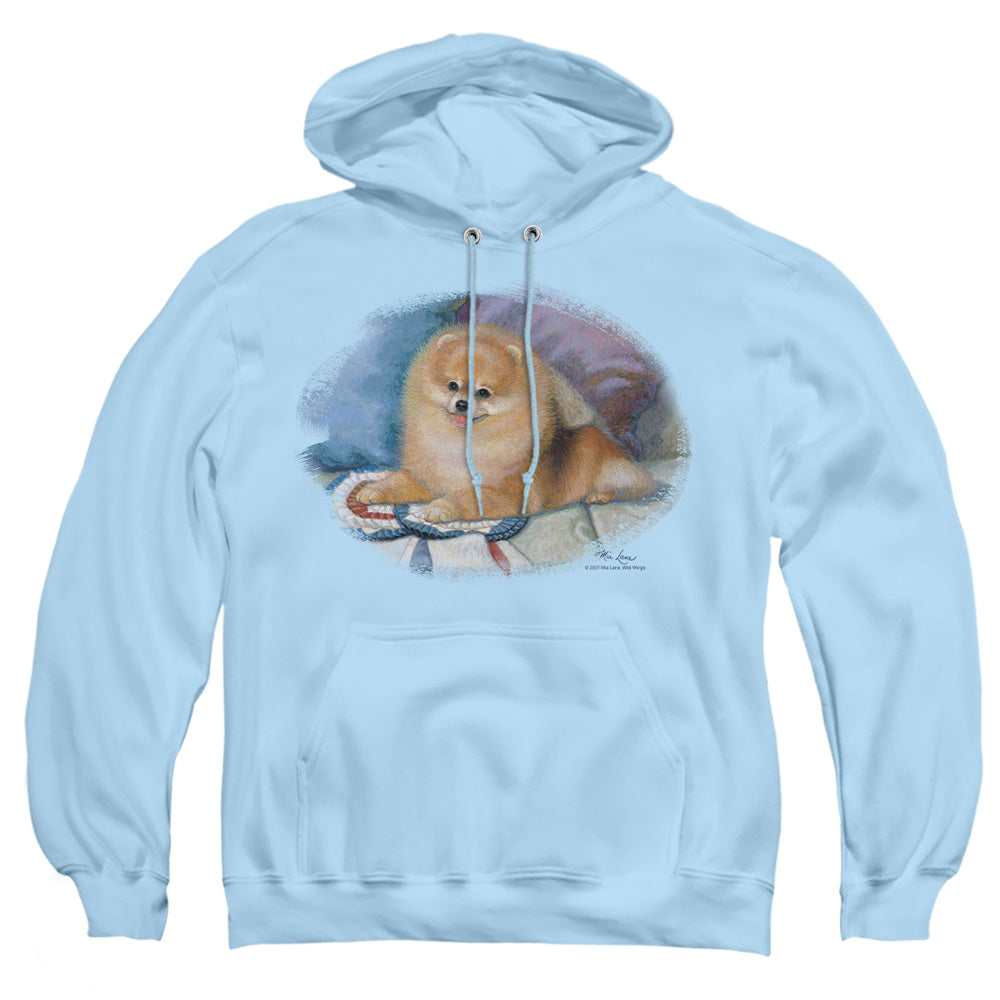 Wildlife Pomeranian Portrait Mens Hoodie Light Blue