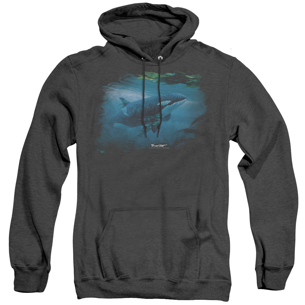 Wildlife Pursuit Thru The Kelp Orca Heather Mens Hoodie Black