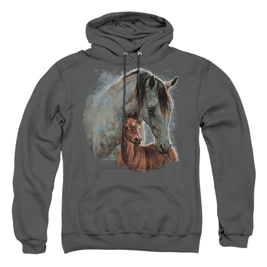 Wild Wings Painted Horses Mens Hoodie Charcoal