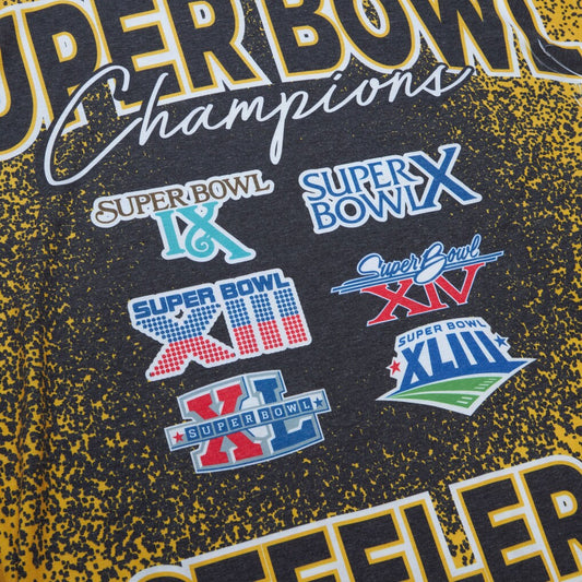 Pittsburgh Steelers - Super Bowl Champions City Sublimated Mens T Shirt