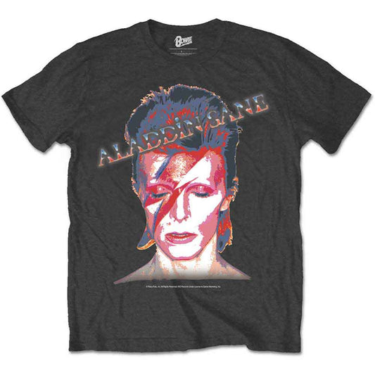 David Bowie Aladdin Sane Mens T Shirt
