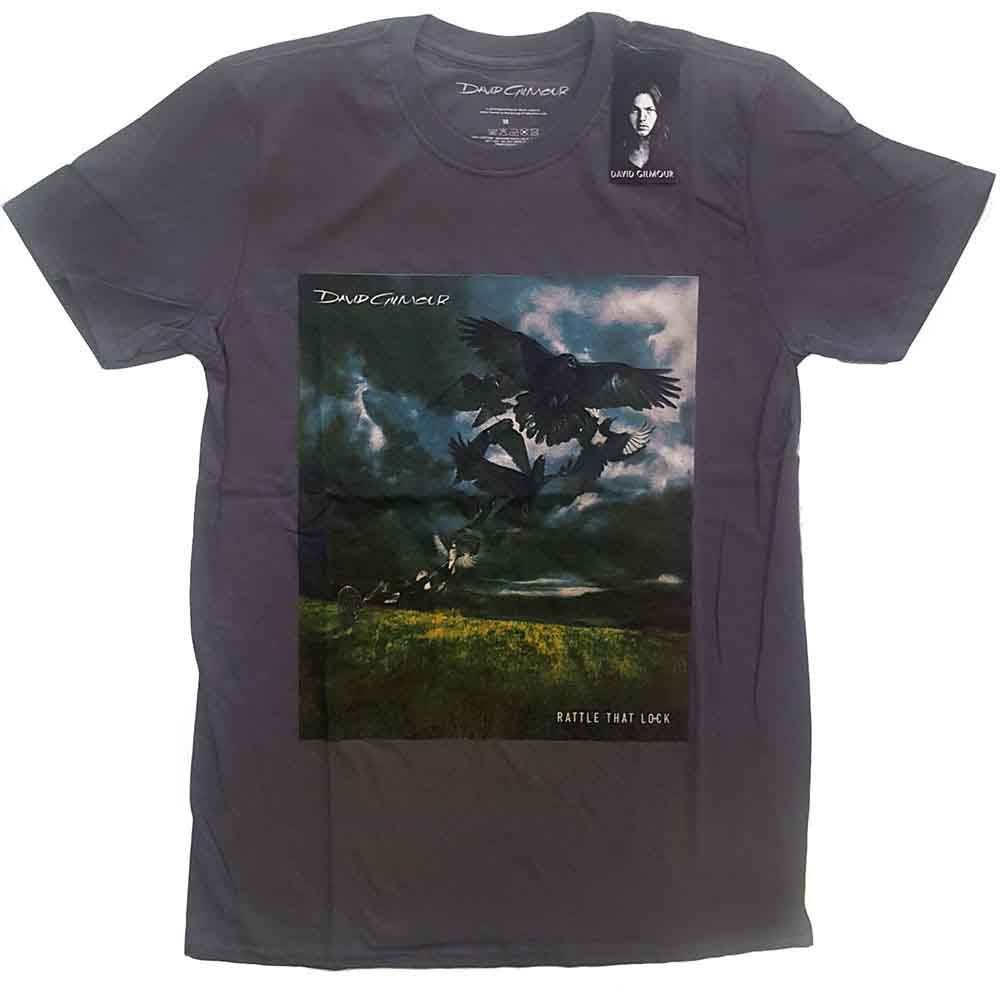 David Gilmour Rattle That Lock Mens T Shirt