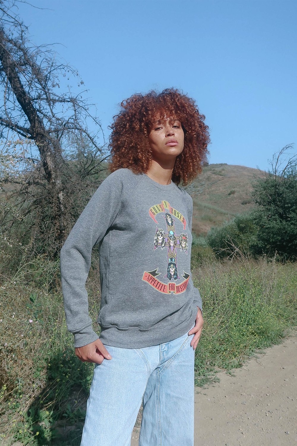 Guns N Roses Appetite for Destruction Womens Fleece Crewneck Sweatshirt Grey