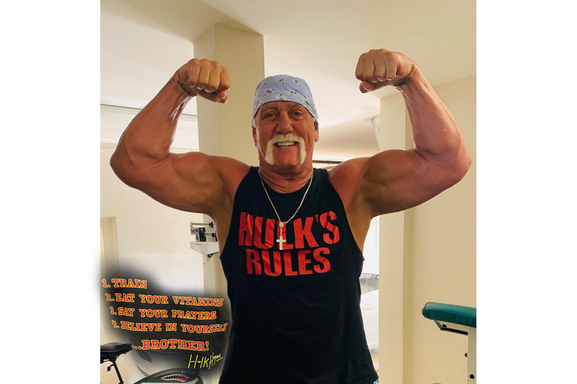 Hulk Hogan Hulk's Rules Mens T Shirt Black