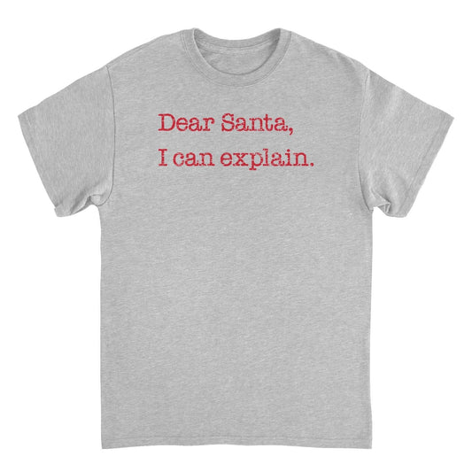 Christmas Mens T Shirt - Dear Santa I Can Explain