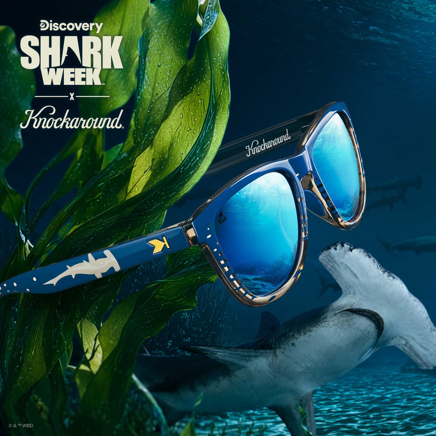 Shark Week Premiums Sport 2026 Officially Licensed Knockaround Sunglasses
