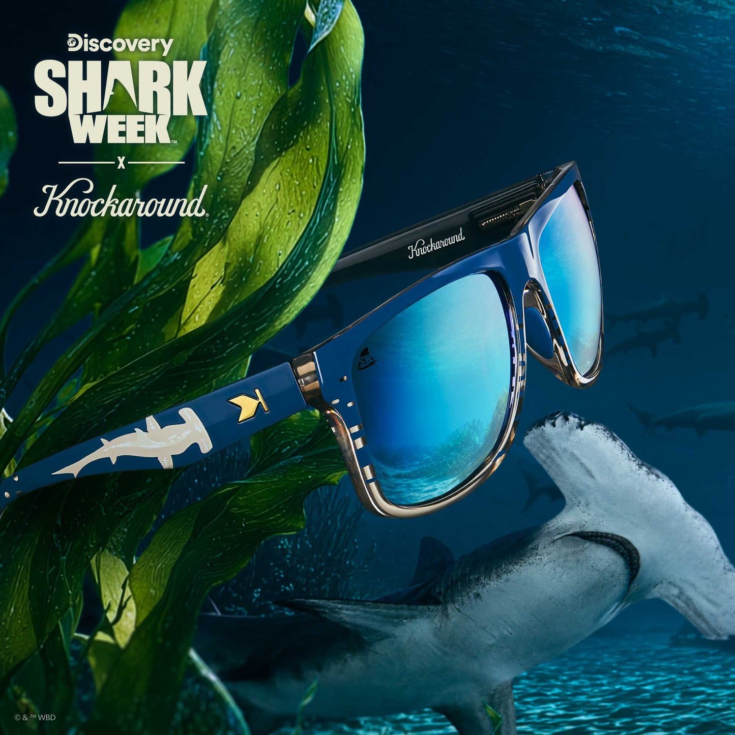 Shark Week Torrey Pines Sport 2026 Officially Licensed Knockaround Sunglasses