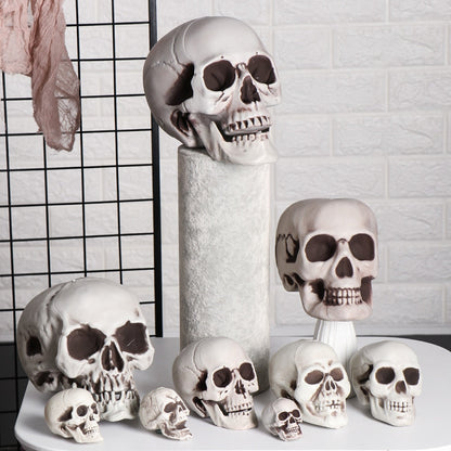 Human Skull Head Skeleton Hanging Skull