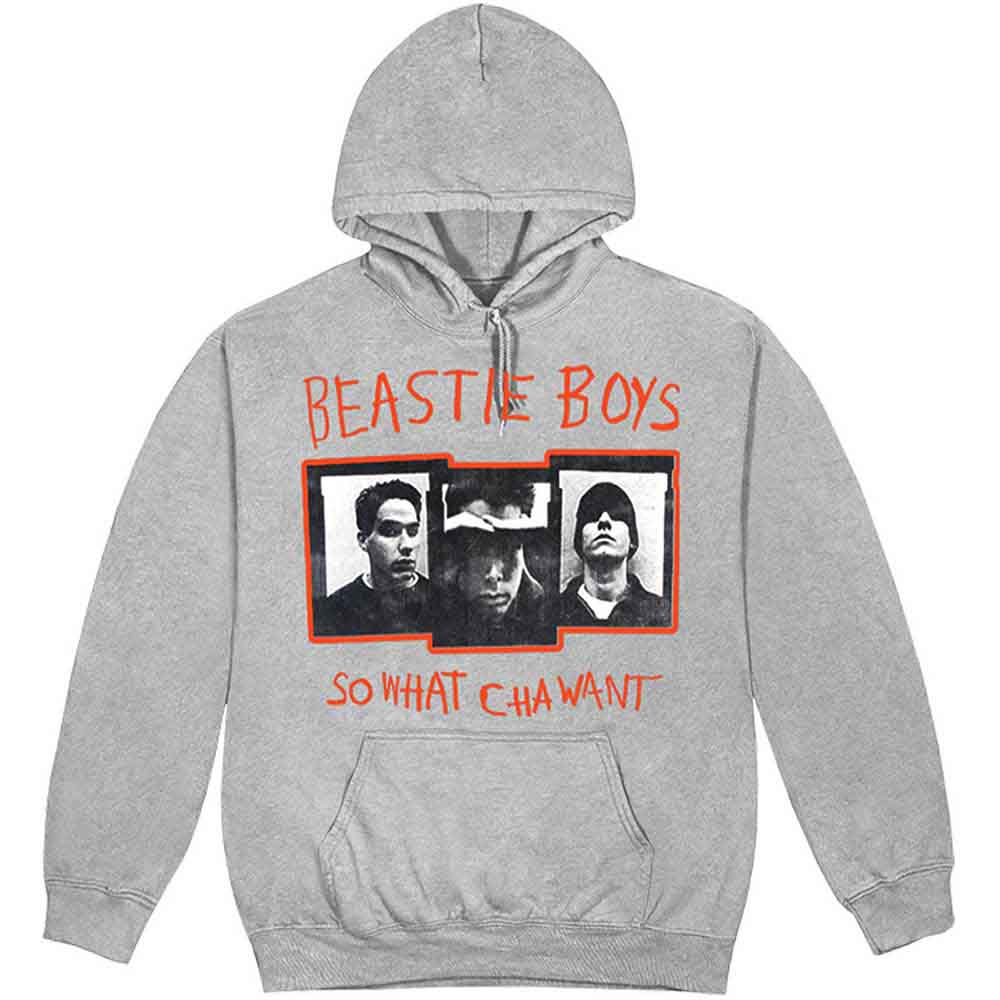 The Beastie Boys So What Cha Want
