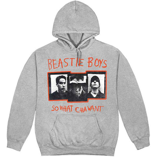 The Beastie Boys So What Cha Want