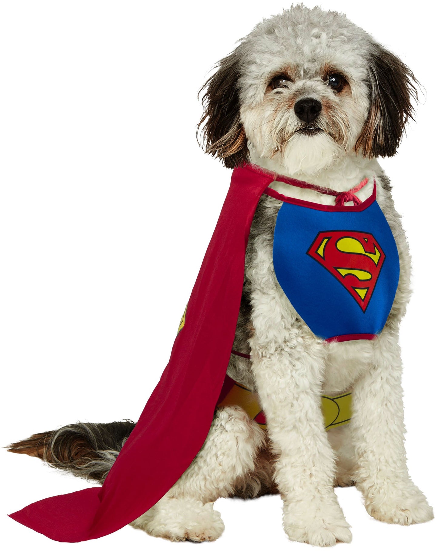 DC Comics Superheros Superman Pet Costume