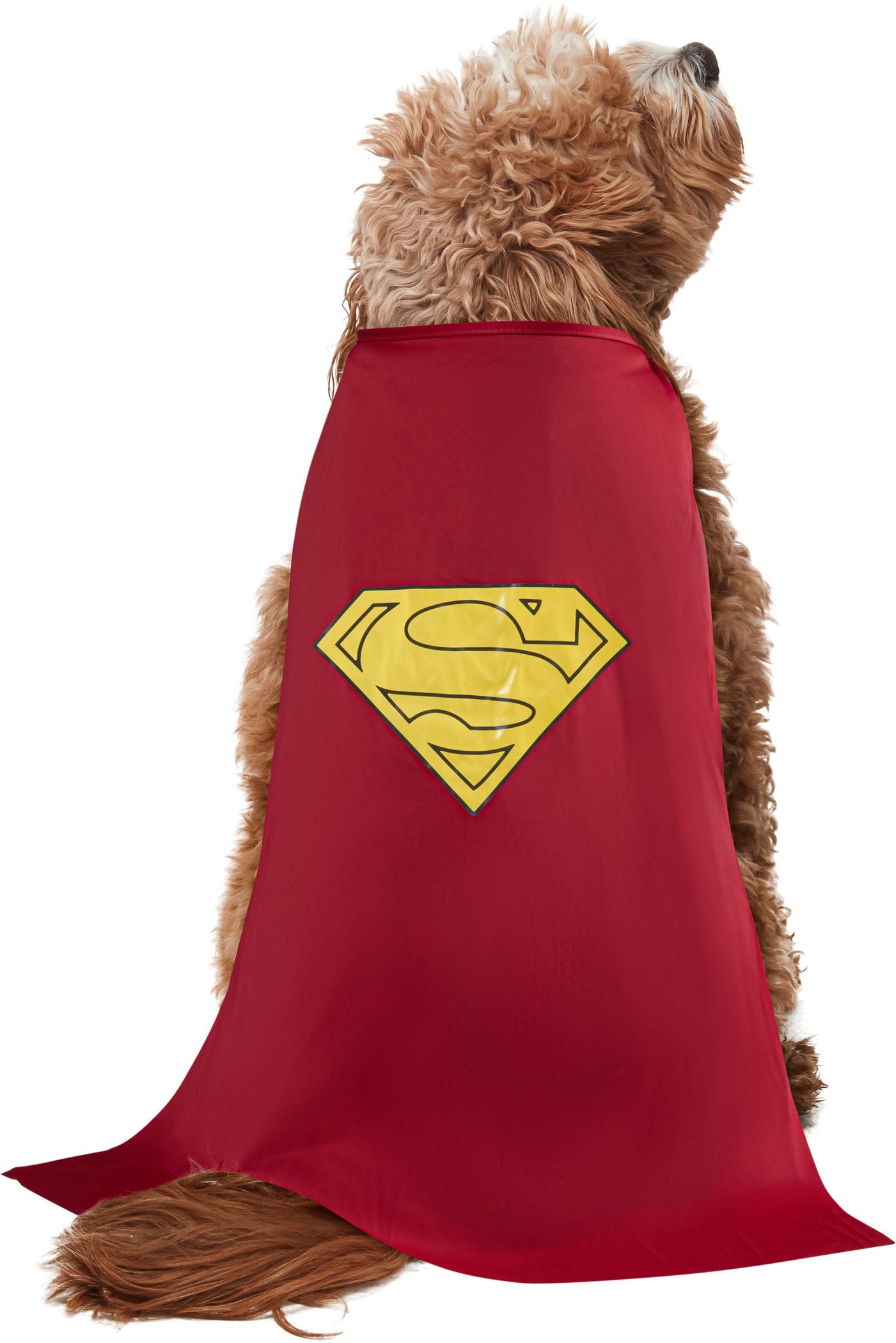 DC Comics Superheros Superman Pet Costume