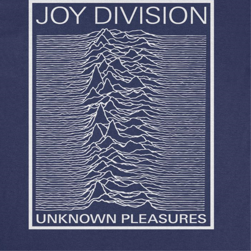 Joy Division Unknown Pleasures Frame Mens T Shirt