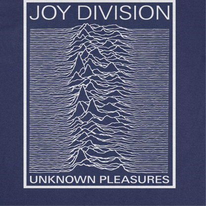 Joy Division Unknown Pleasures Frame Mens T Shirt
