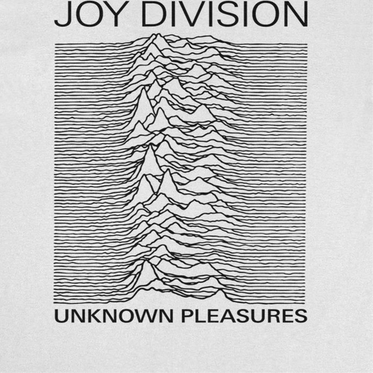 Joy Division Unknown Pleasures Titles Mens T Shirt