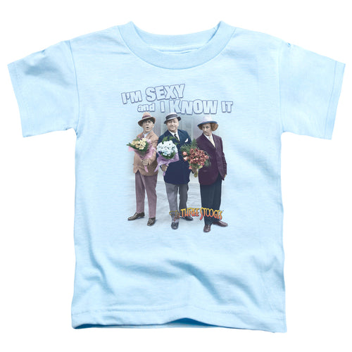 Three Stooges Sexy Toddler Kids Youth T Shirt Light Blue